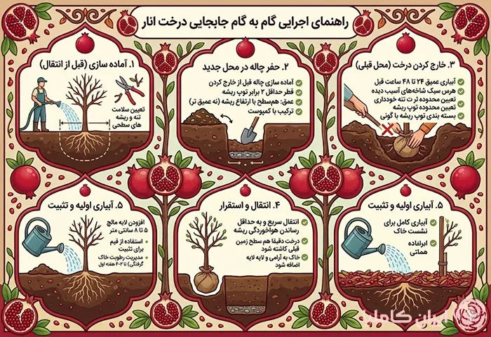 نحوه جابجایی درخت انار